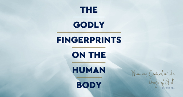 The Godly Fingerprints on the Human Body