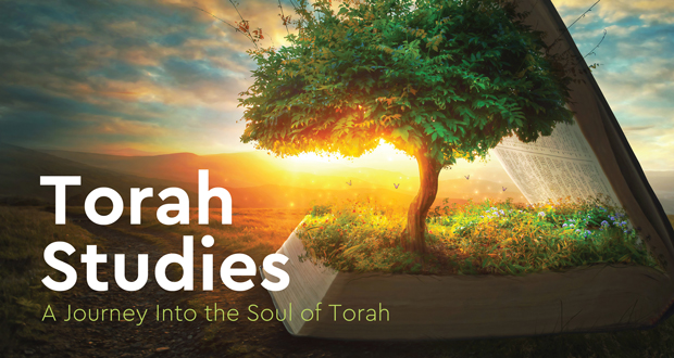 Torah Studies with Rabbi Sapo