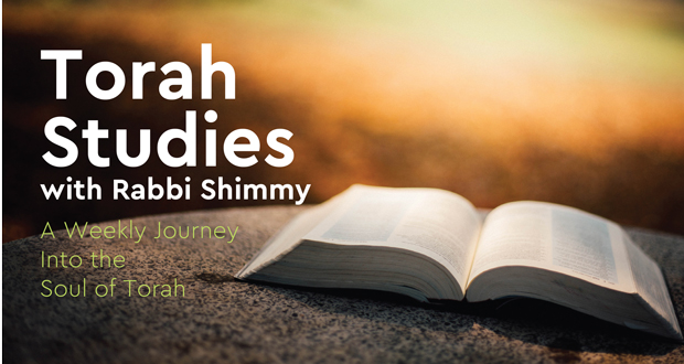 Torah Studies with Rabbi Shimmy